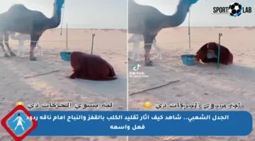 الجدل الشعبي.. شاهد كيف أثار تقليد الكلب بالقفز والنباح أمام ناقه ردود فعل واسعة